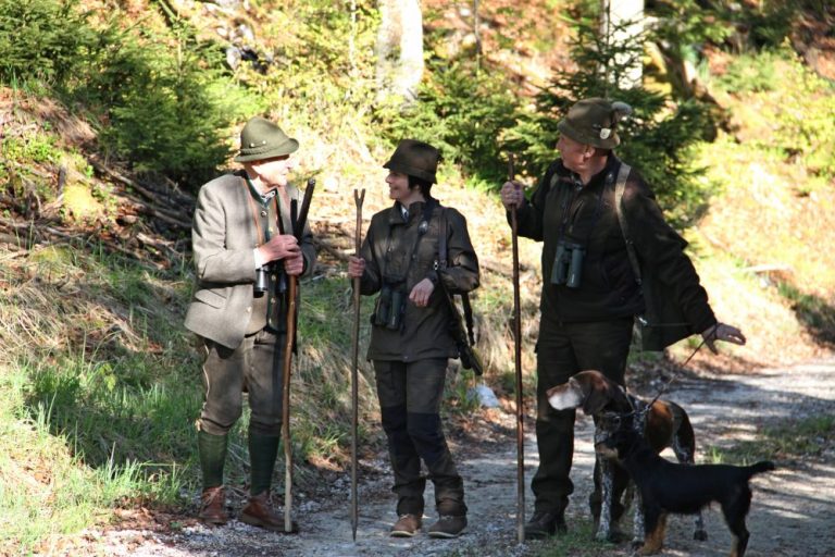 Wichtigste Fragen zu Jagd & Jäger in Österreich