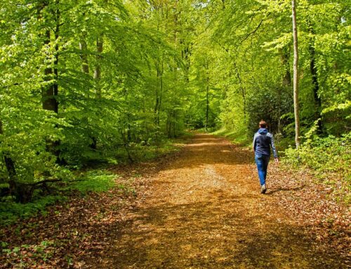 Waldbaden