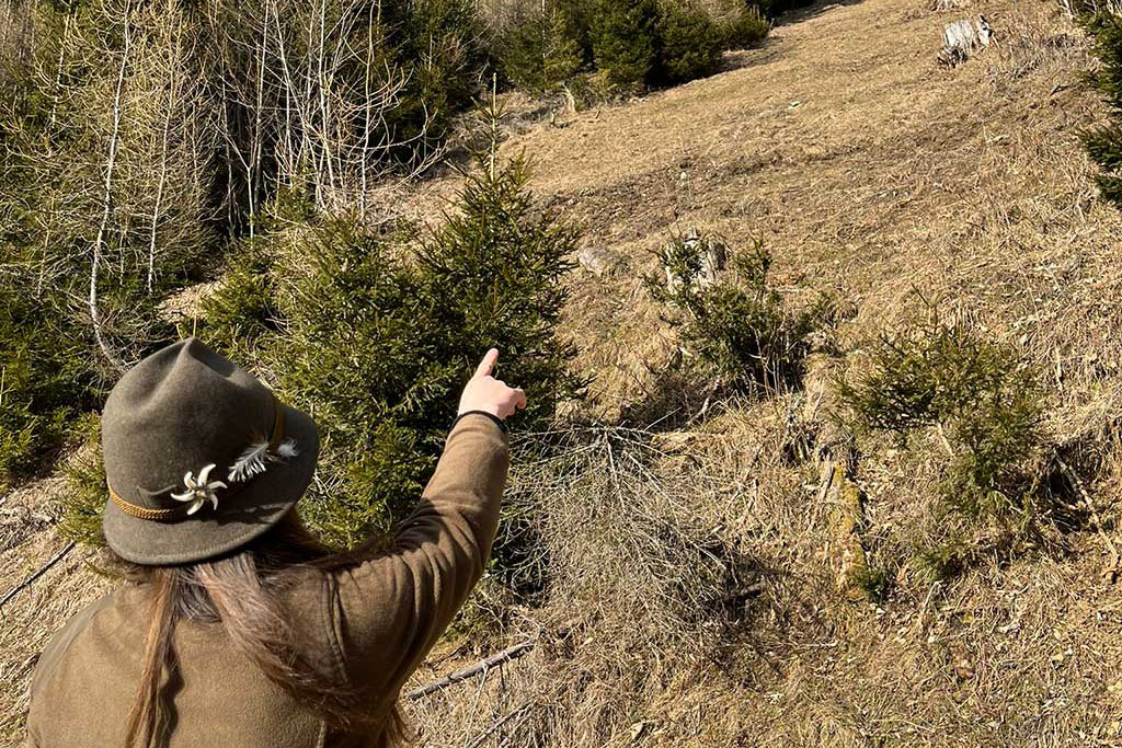 Jägerin im Revier - Jagdfakten.at informiert