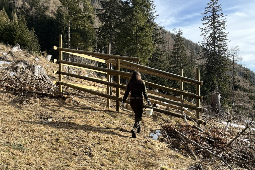 Martina Ferchel bei der Kirrung - Jagdfakten.at informiert